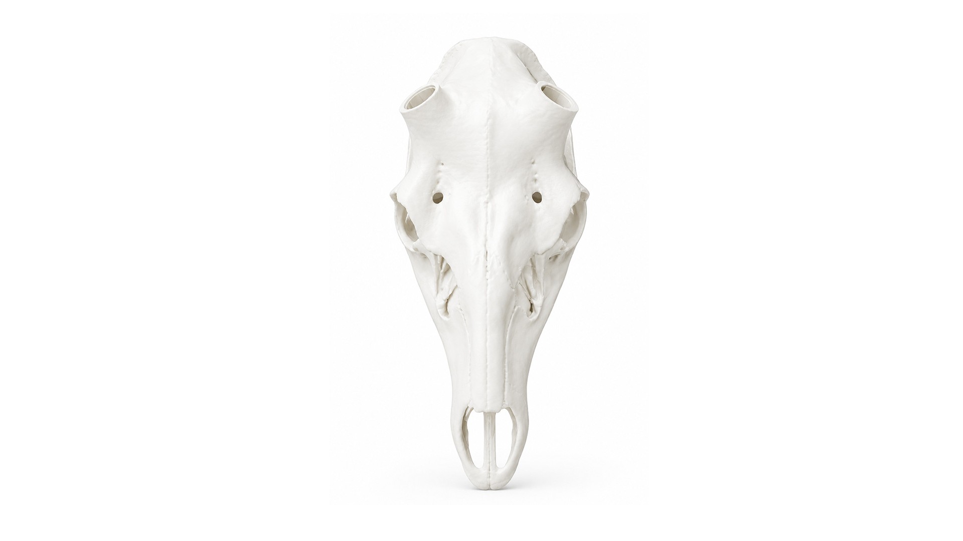 [object Object]fotka3